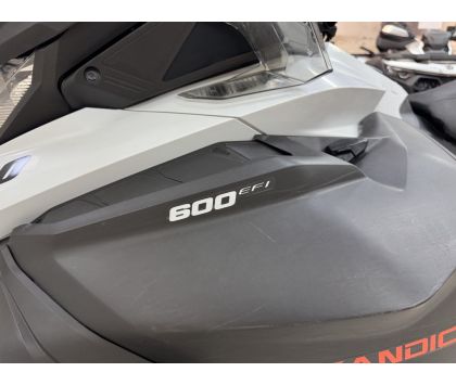 Снегоход BRP Ski-Doo SKANDIC SPORT 600 EFI, 2020 г. с пробегом
