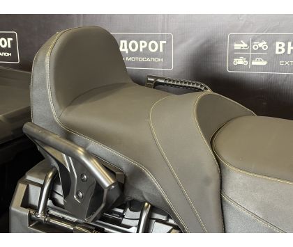 Снегоход BRP (БРП) SKI-DOO SKANDIC LE 900 ACE 24