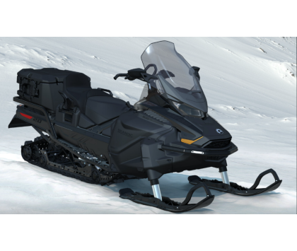 Снегоход BRP (БРП) SKI-DOO SKANDIC SE 900 ACE  20