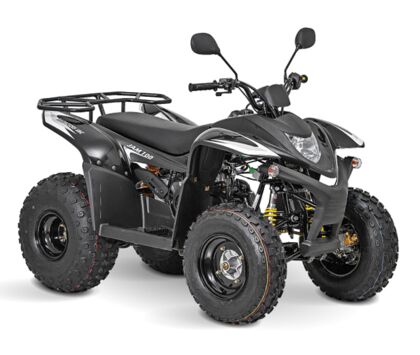 Детский квадроцикл Baltmotors JAM 100 Черный