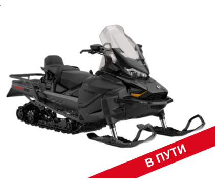 Снегоход BRP (БРП) SKI-DOO SKANDIC LE 20″ 900 ACE с НДС и ЭПСМ Черный