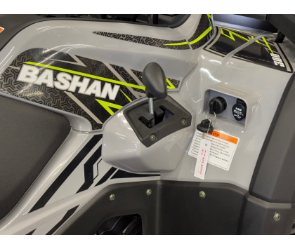 Квадроцикл Bashan EXPLORER 300 (карданный вал) (Комплект для сборки) Серый