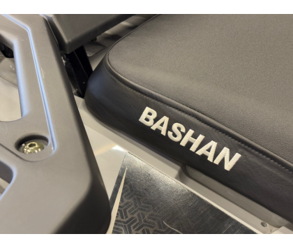 Квадроцикл Bashan EXPLORER 300 (карданный вал) (Комплект для сборки) Серый