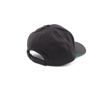 Кепка изогнутый козырек DRAGONFLY CLASSIC Black-Green One size