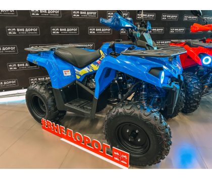 Квадроцикл Iride ROVER 200 (Комплект для сборки) Синий
