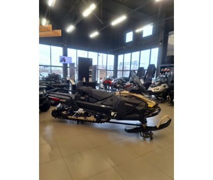 Снегоход BRP (БРП) SKI-DOO SKANDIC LE 20″ 900 ACE Бежевый