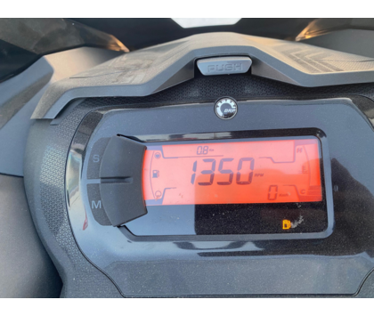 Снегоход BRP (БРП) SKI-DOO SKANDIC LE 900 ACE 24″ Черный