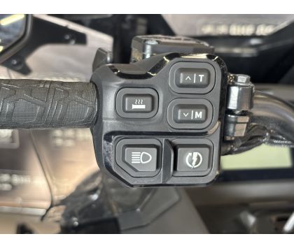 Снегоход BRP (БРП) SKI-DOO Expedition LE 900 ACE Turbo 24