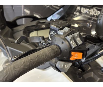 Снегоход BRP (БРП) SKI-DOO Skandic SE 600R E-ТЕС 20“, 2026 Серый