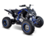 Детский квадроцикл Mikilon (Микилон) Rapide 250S Синий