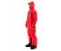 Комбинезон зимний женский DRAGONFLY EXTREME Crazy Cat Red 2023 S