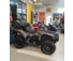 Квадроцикл CFMOTO CFORCE X10 EPS с пробегом 2022 г. Кленовый камуфляж